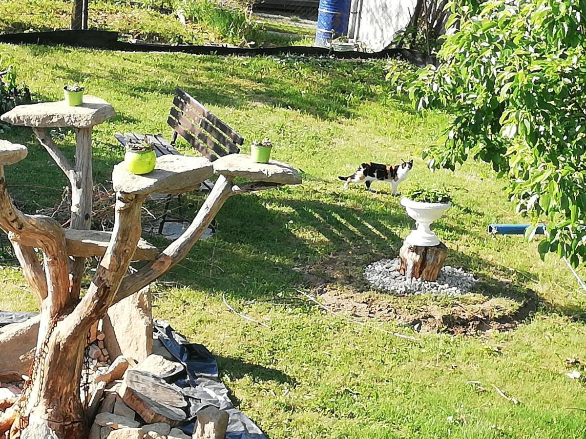 Apartmány MK Nové Hrady Buitenkant foto